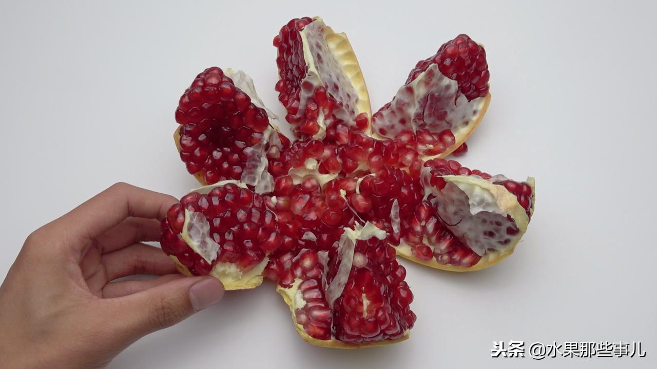 软籽石榴和突尼斯软籽石榴的区别,突尼斯石榴跟软籽石榴有啥子区别