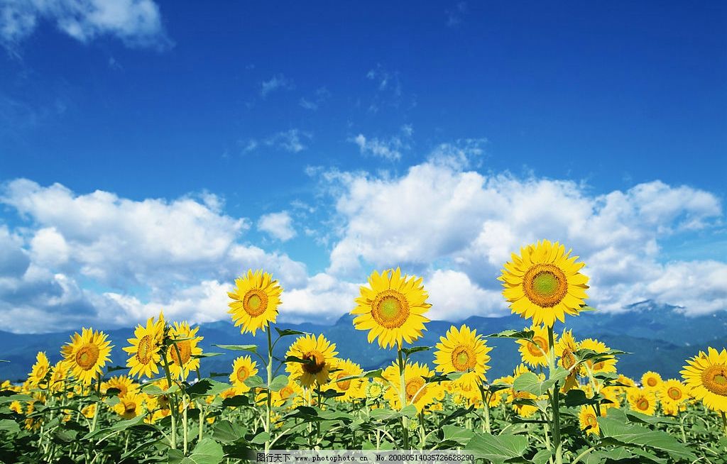 我从健康到微跛，到拄手杖，到拄双拐，再到坐轮椅的大半生