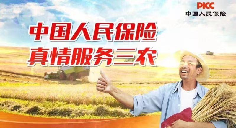 扎扎实实服务乡村振兴战略徐州人保财险创新农险高质量发展纪实