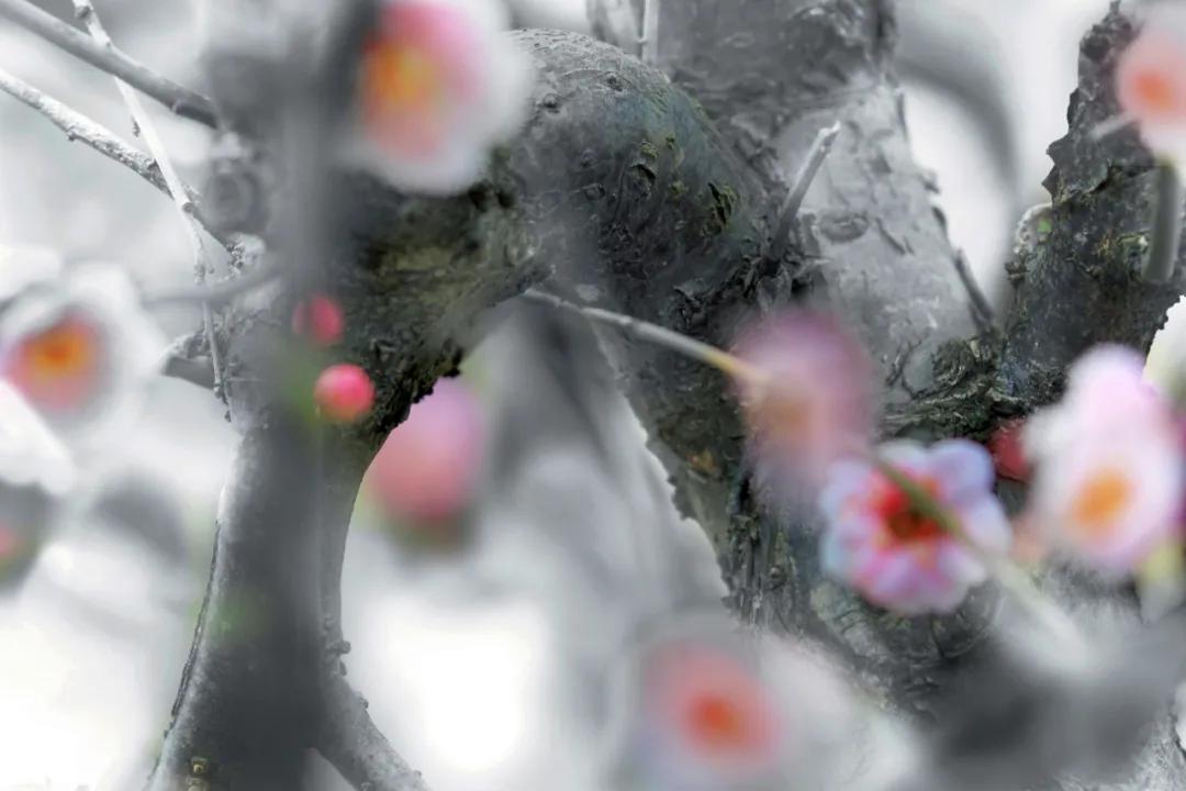 香港第14届全国摄影艺术展,第29届全国摄影艺术展览获奖名单