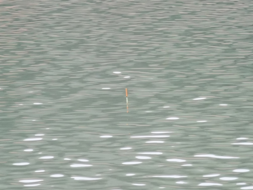 黄田谷水库钓鱼,黄田镇钓鲤鱼视频