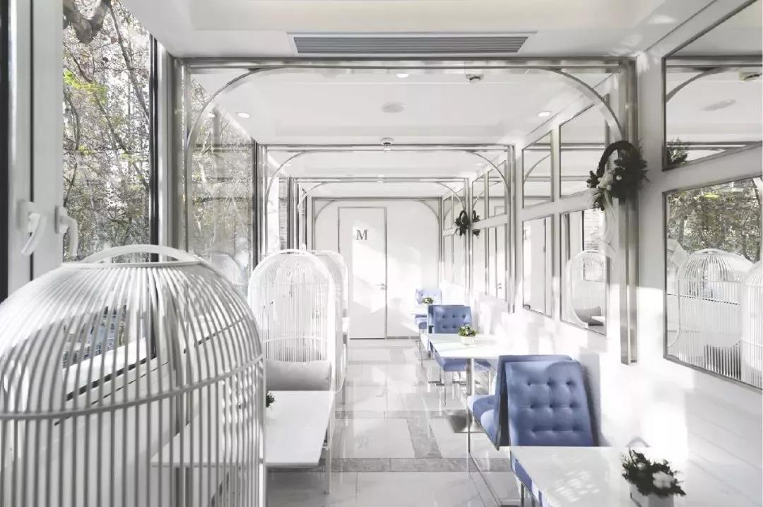 ladym蛋糕最值得吃的,ladym蛋糕为什么这么贵