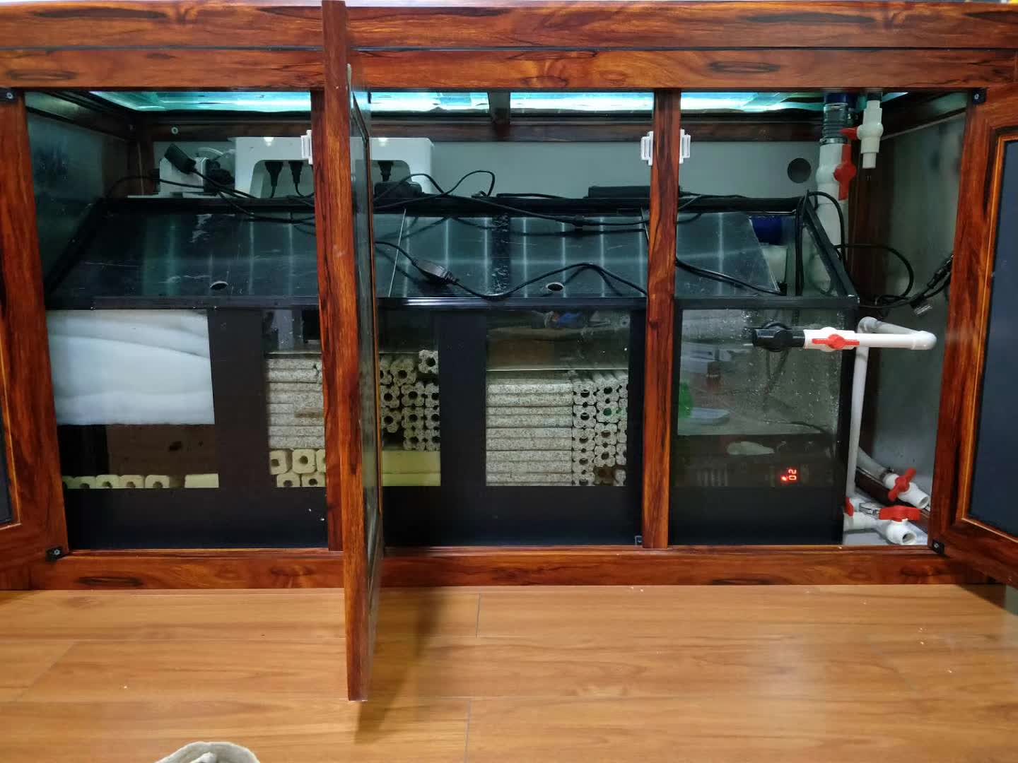 养鱼张哥最新视频,鱼缸怎么养锦鲤鱼最好