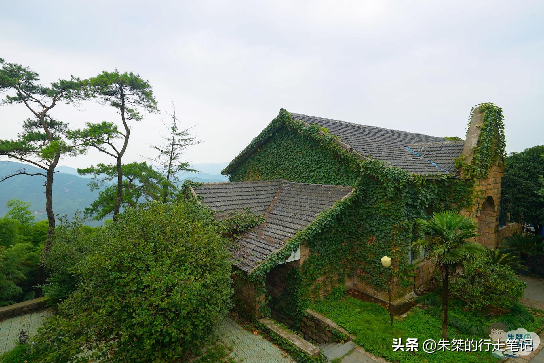 莫干山避暑旅游景点推荐,春光无限好赏花正当时