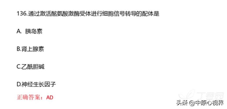 今年考研西医综合试题,2019年西医综合考试真题及答案