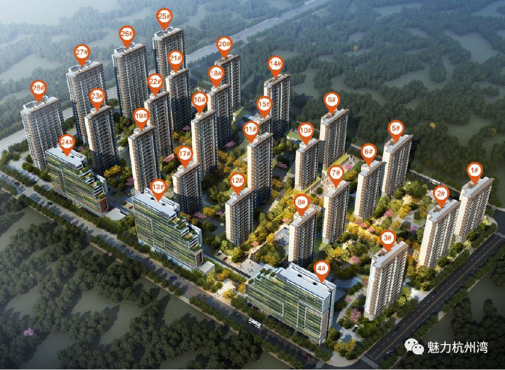 有一种美好叫大连,最新杭州湾碧桂园