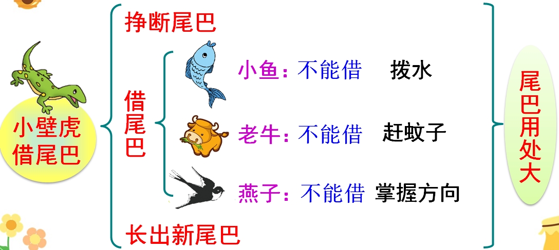 小学语文小壁虎借尾巴学情分析,小壁虎找尾巴课文原文人教版