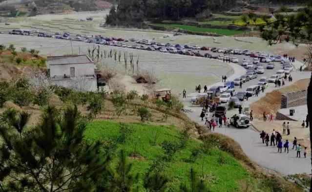 新手入门快速了解文玩,收藏知识大全