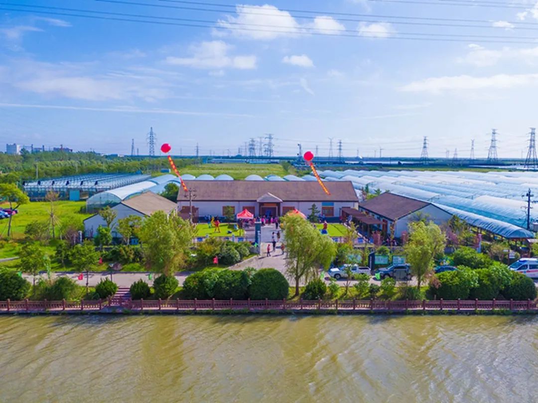 文旅资讯站|慈溪市第十六届葡萄节暨灾后复产现场会顺利举行