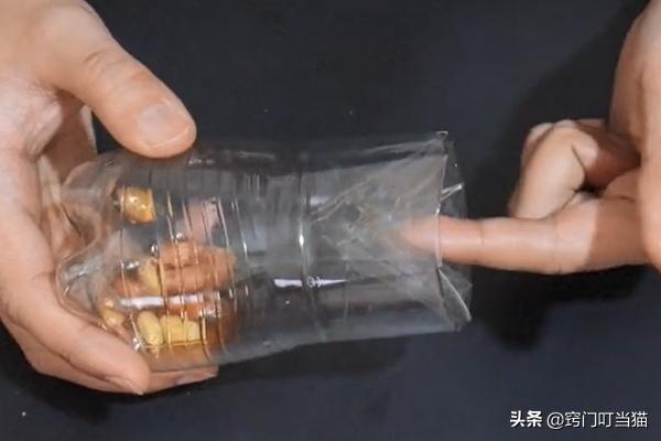 无毒灭老鼠的最佳方法,灭老鼠的1000个方法