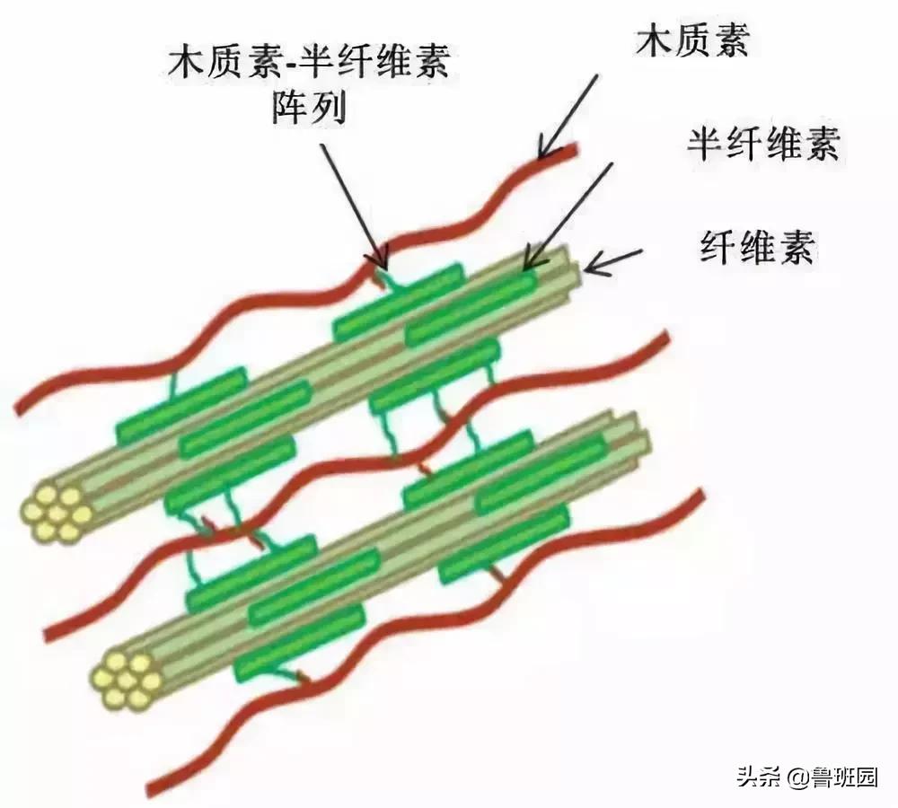 日本杉板制作全过程,烧杉板可以用哪些木材制作
