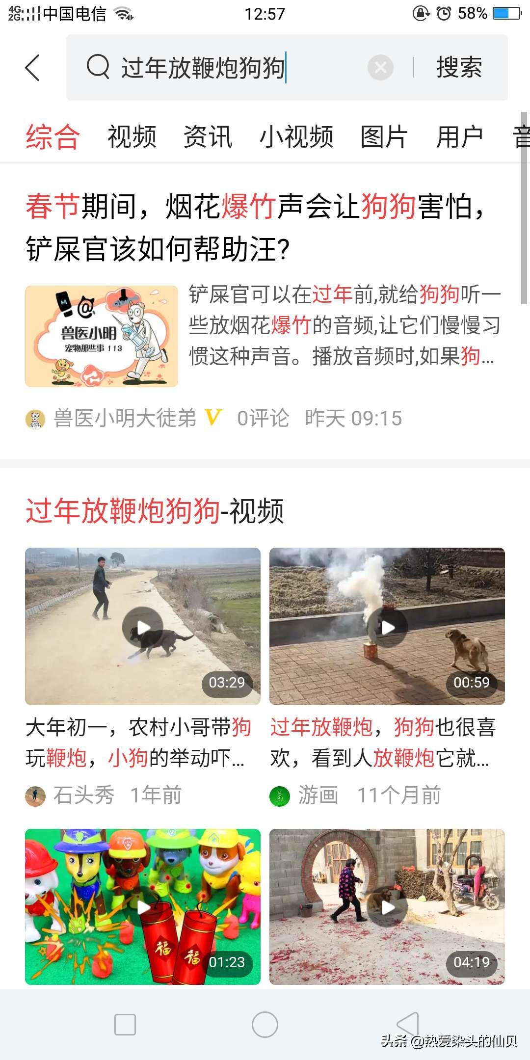 为什么有的狗狗不怕放炮,狗狗害怕放炮怎么办