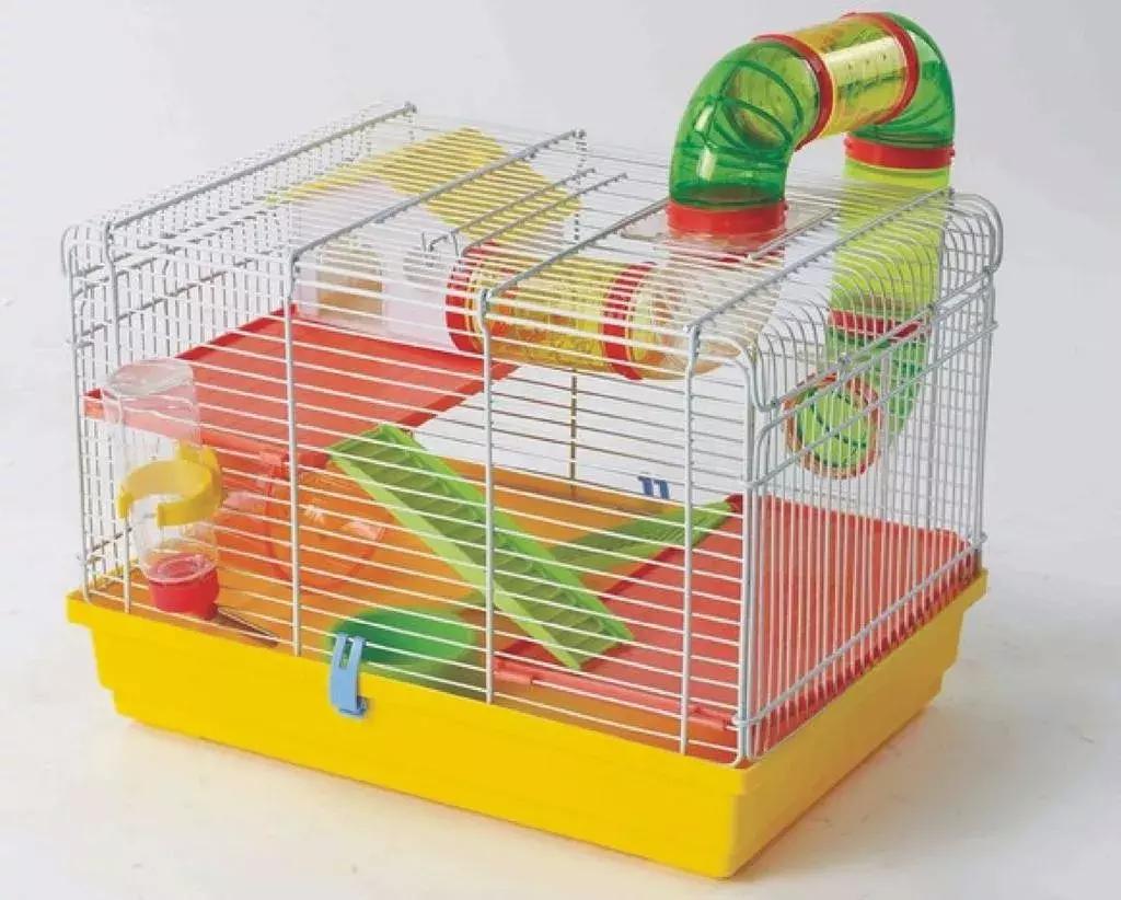 仓鼠饲养八大禁忌仓鼠会认主人吗,仓鼠饲养八大禁忌仓鼠吃什么蔬菜