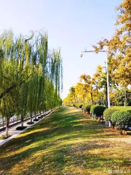 郑州春天骑行的好地方,郑州运动类游玩地