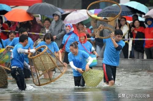 不用渔网的捕鱼视频,不用小网眼渔网捕鱼
