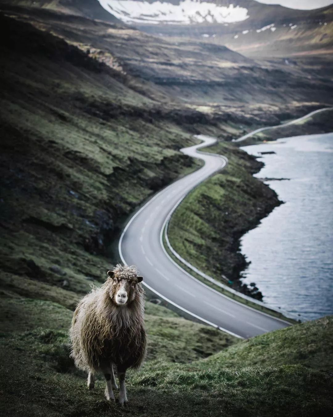 法罗群岛闭岛,真实的法罗群岛