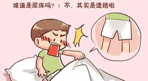 如何认识男性,男性什么情况下梦遗