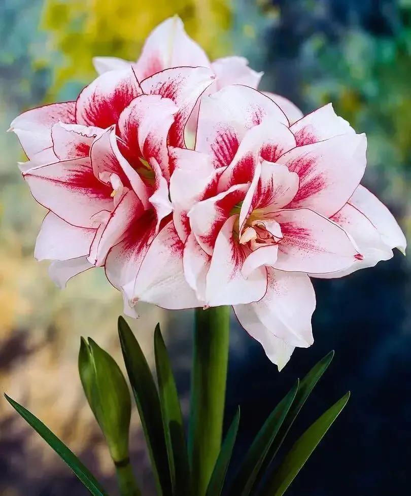 老北京俏皮话歇后语,老北京典故及歇后语