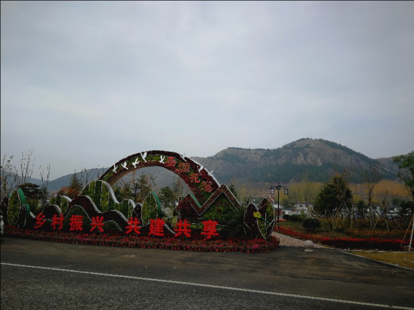 最全小学英语知识大全,小学英语知识汇总及讲解