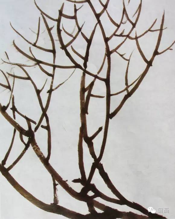 张克申写意牡丹画法教程,邵丹写意牡丹各阶段画法