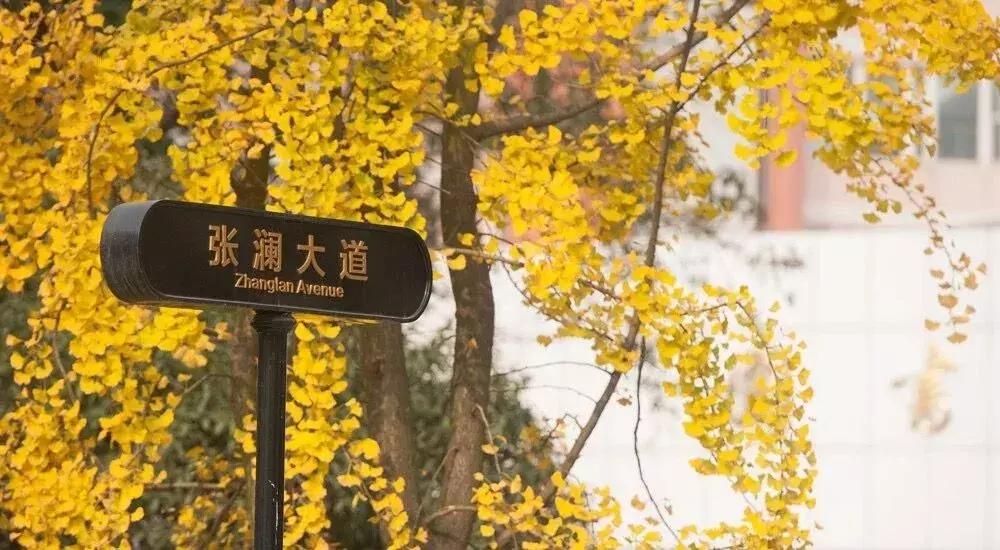 鲜橙攻略丨成都大学校园环境篇