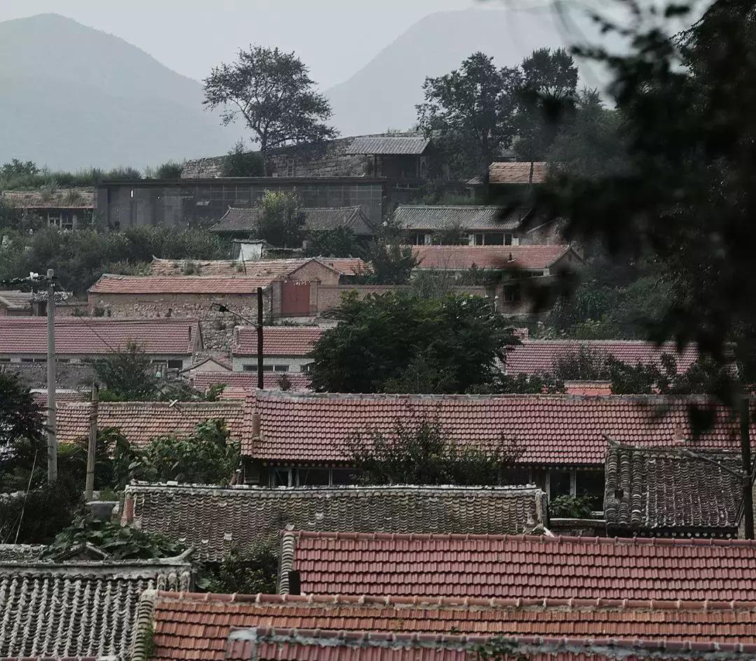 这才叫生活！山中3年他建了一个漂亮小院，活的比年轻人还酷！