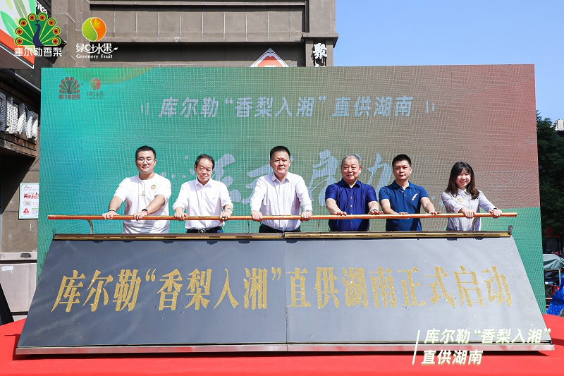 库尔勒“香梨入湘”直供湖南正式启动