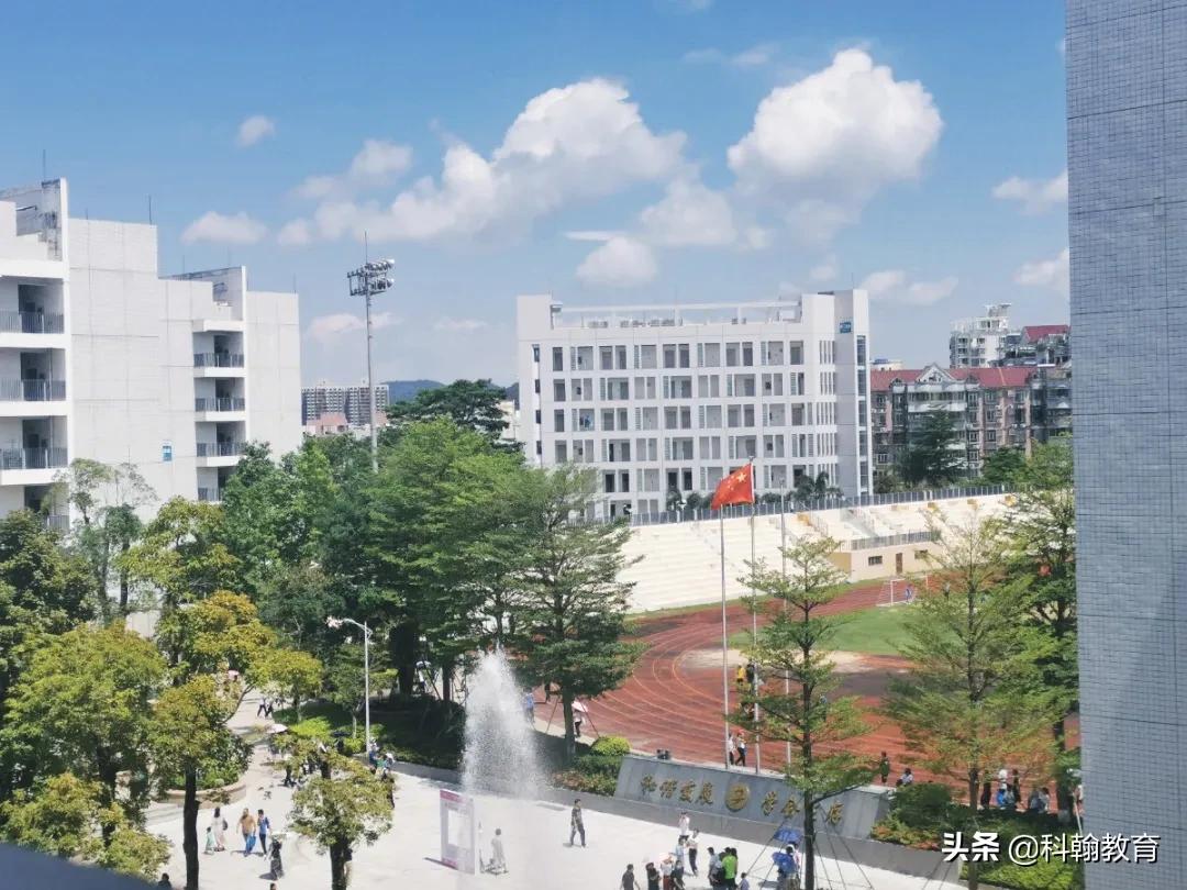 深圳读书的真实感受,深圳高中读书体验