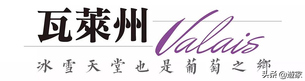 瑞士人竟然这么爱喝，拥有是世界遗产的葡萄园，作业还在靠手工