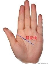看手相学习好看哪根线,教你看手相百分之百准确