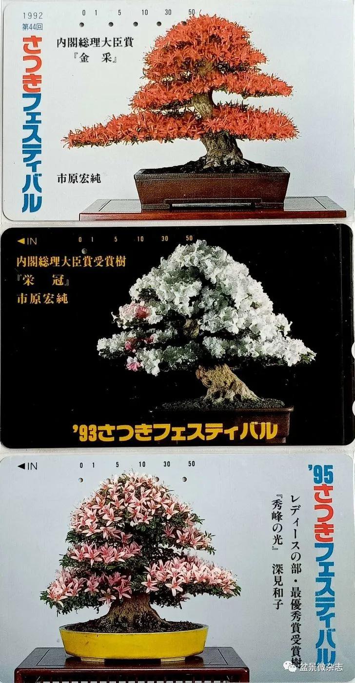 鐩嗘櫙鑱旂郴鐢佃瘽鍙风爜,涓鐩嗘櫙鑱旂郴鏂瑰紡