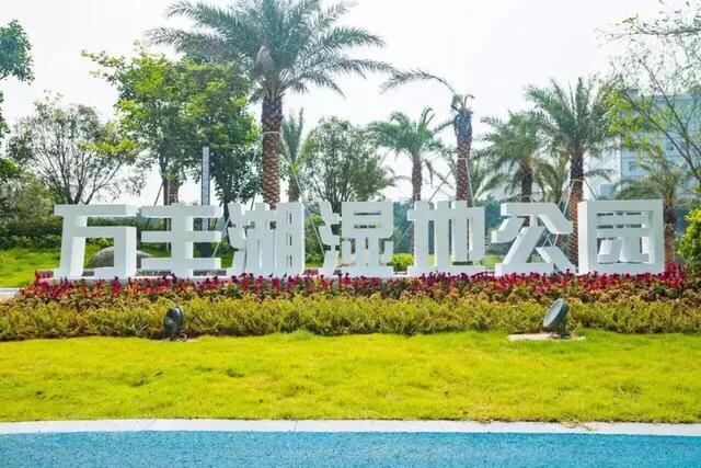 深圳免费公园哪里最好啊,深圳十大免费公园景点大全