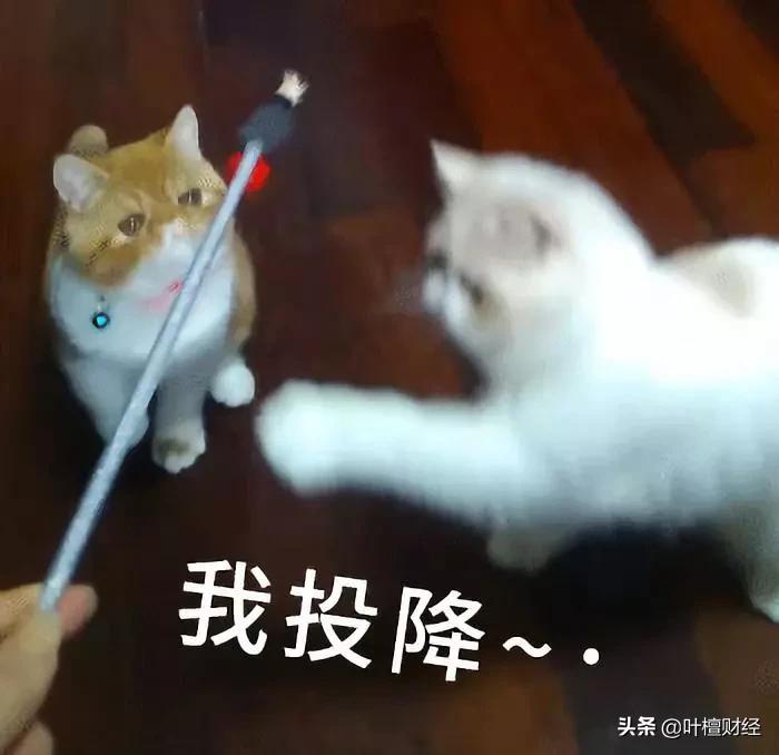 叶檀富豪榜,叶檀财经故事