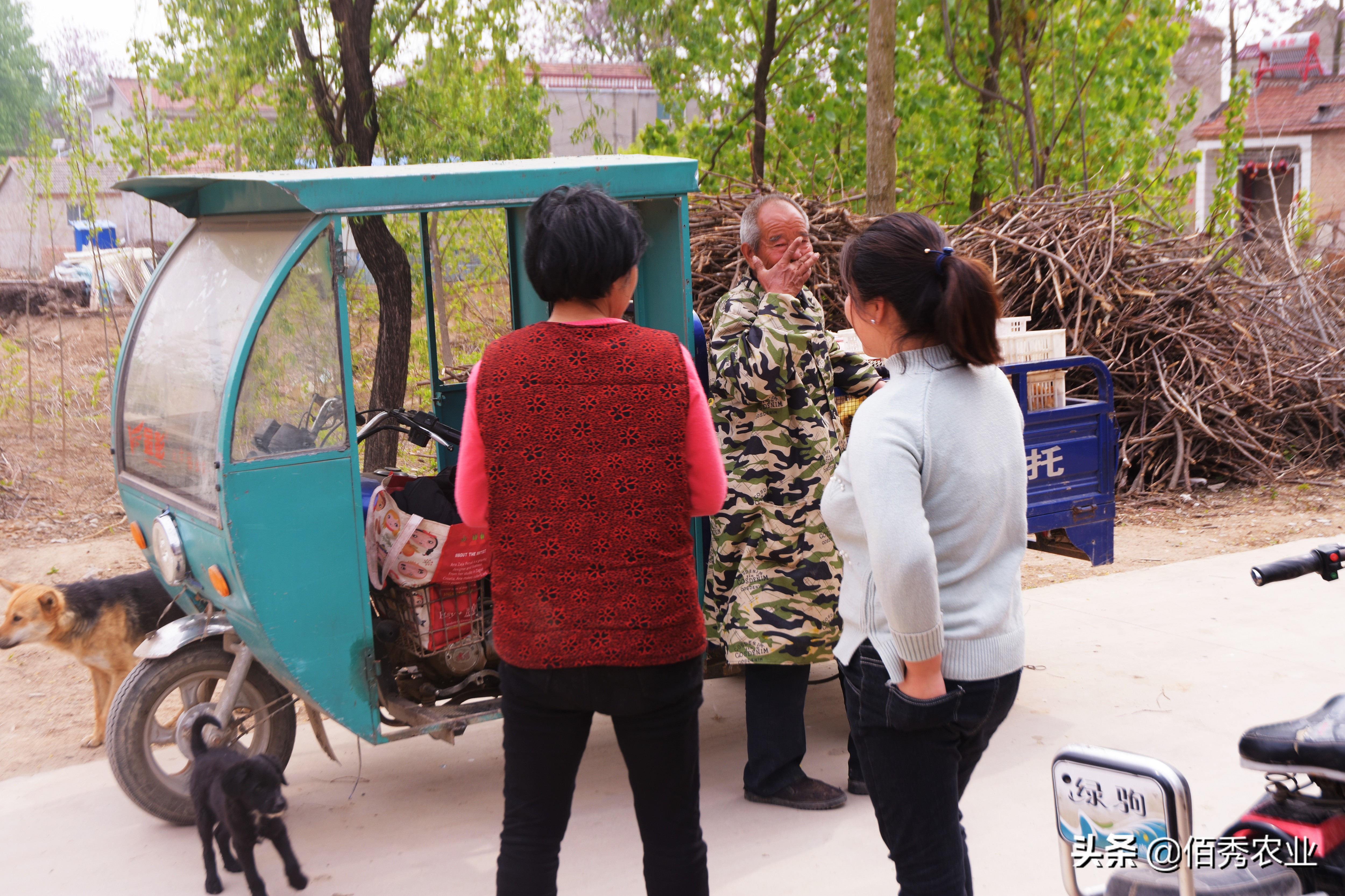 有没有大型养殖公司找农户合作的,有企业专门收散养的鸡吗