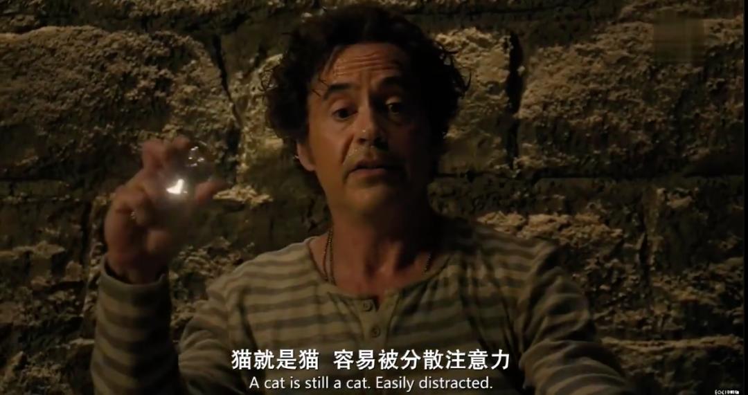 影院复业后你最想看哪部电影,带儿童去影院观看的电影推荐