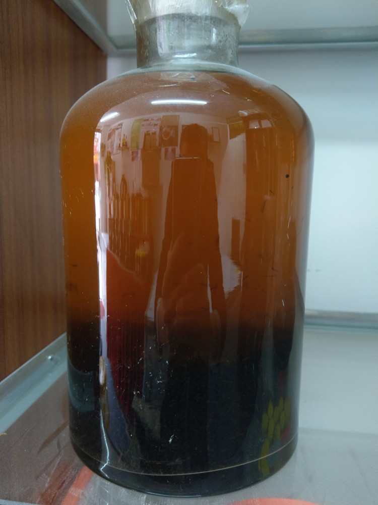 广东有马蜂酒吗,广东人的药酒酒量