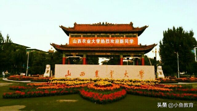 山西省的大学排名一览表,山西有几所排名前100名的大学