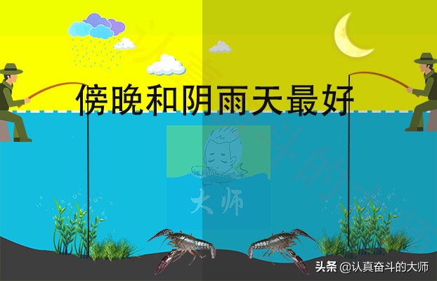 钓小龙虾的方法和技巧,小龙虾的钓法及用法