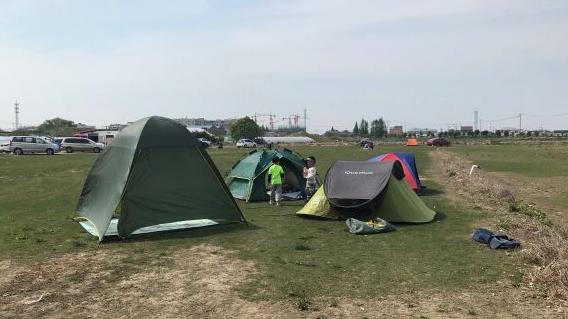 哪个草莓园的草莓便宜又好吃又大,上海新鲜草莓推荐