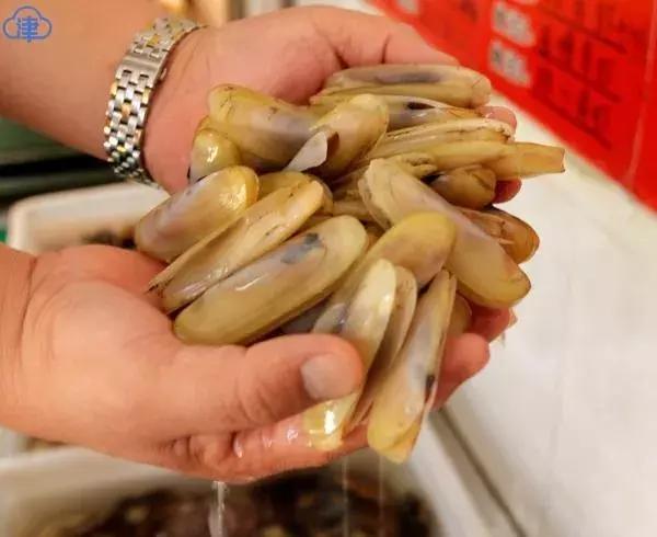 有一种炫富叫青岛开海,有一种炫富叫青岛开海了