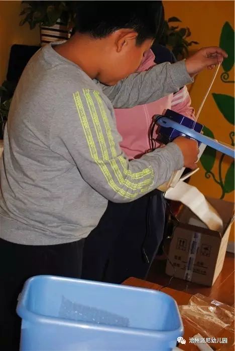 生命教育孵蛋,生命教育课程孵小鸡