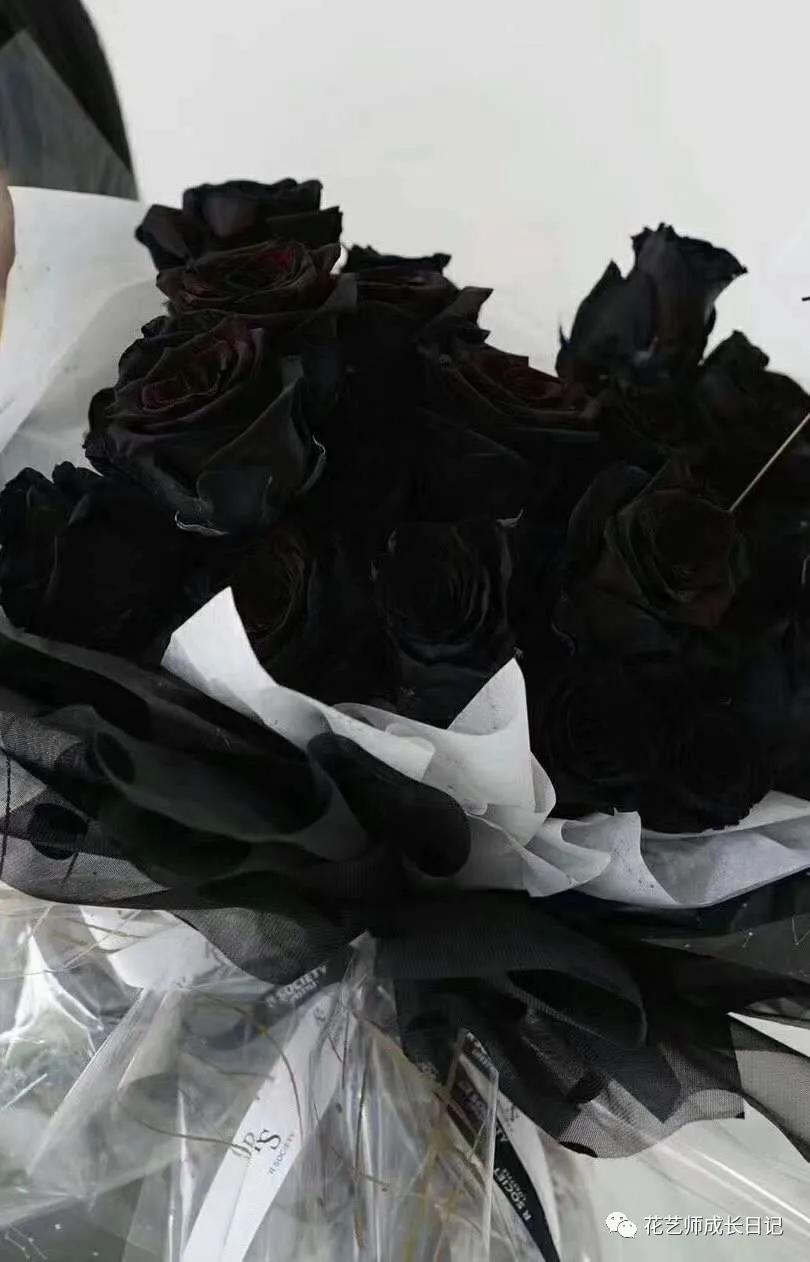 每日一花桃红玫瑰花,每日一花flowers