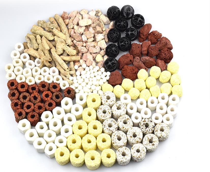 观赏鱼最好的硝化细菌,观赏鱼鱼缸硝化细菌放多少