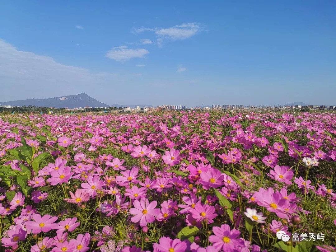 莆田端午旅游攻略,莆田端午节游玩攻略