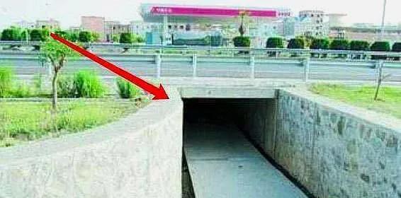 开车遇到复杂路况走错路,走错路上了高速怎么办