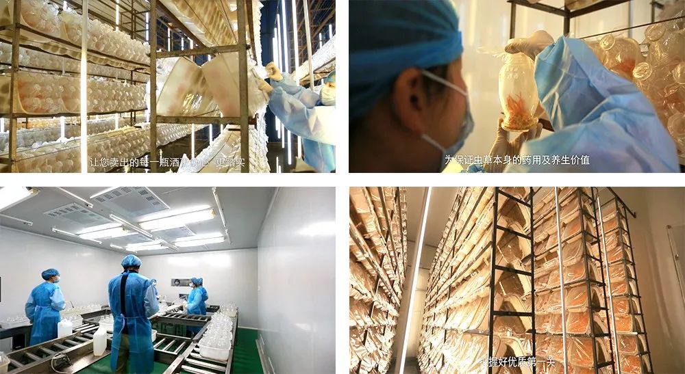 喜讯：同万堂集团与华誉传承隆重签署《股权并购协议书》