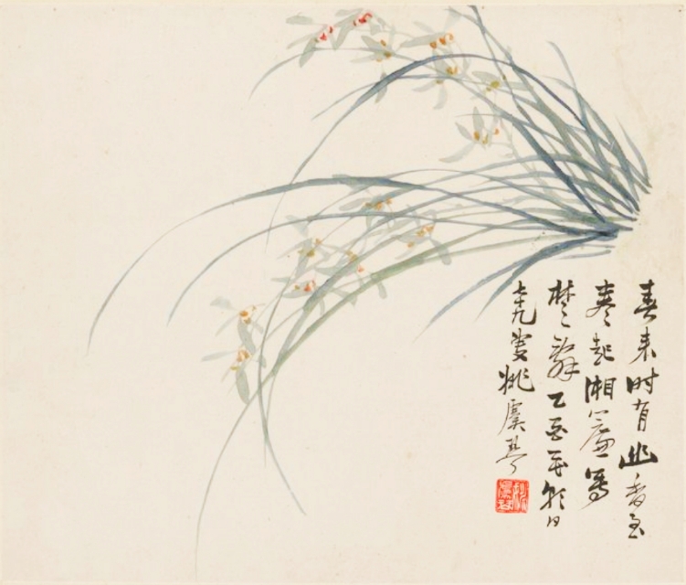 淡彩兰花100幅,顶级淡彩兰花图片