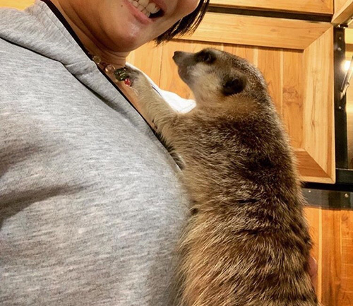 去泰国旅游需要做好哪些攻略,去泰国旅游一定要去这几个地方