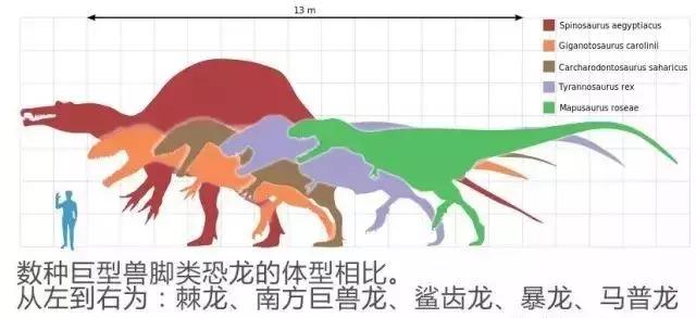 1600万年前称霸地球的有哪些,45亿年的地球有多少霸主