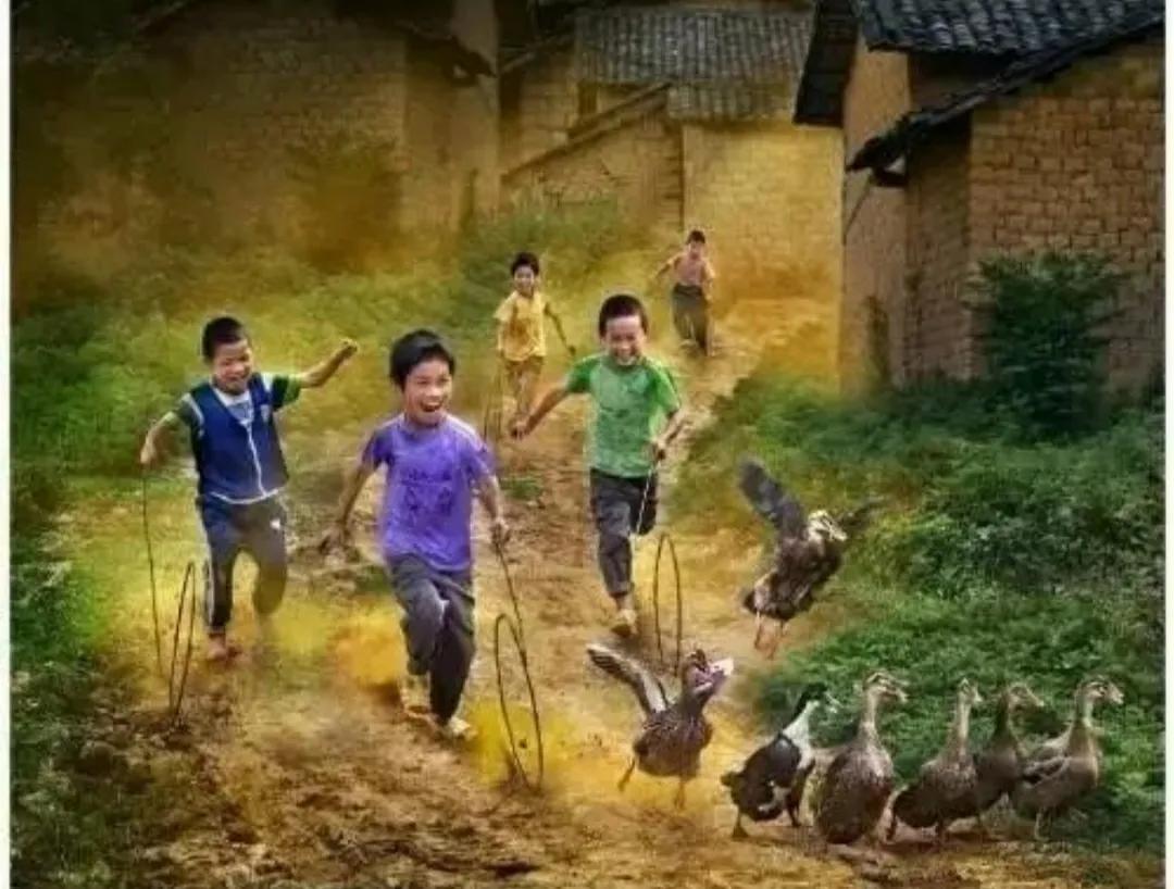 迟子建的亲亲土豆表达什么情感,亲亲土豆语言特点